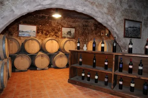 Khám phá hãng rượu vang Ý Cantina San Donaci